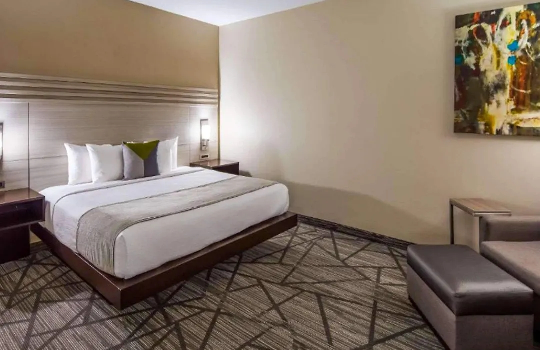 Comfort Inn & Suites Houston I-45 North - Iah-1