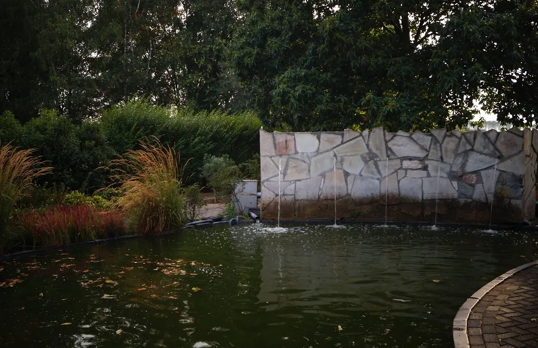 B&B Johannes-Hoeve-1
