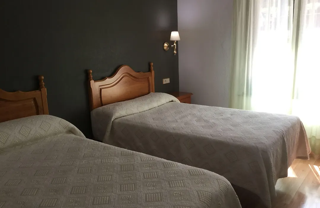 Hotel Cinco Castaños-1
