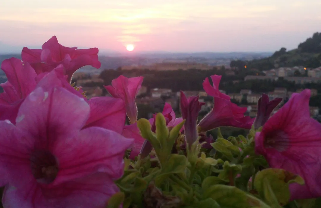 B&B Le Terrazze Fermo-1