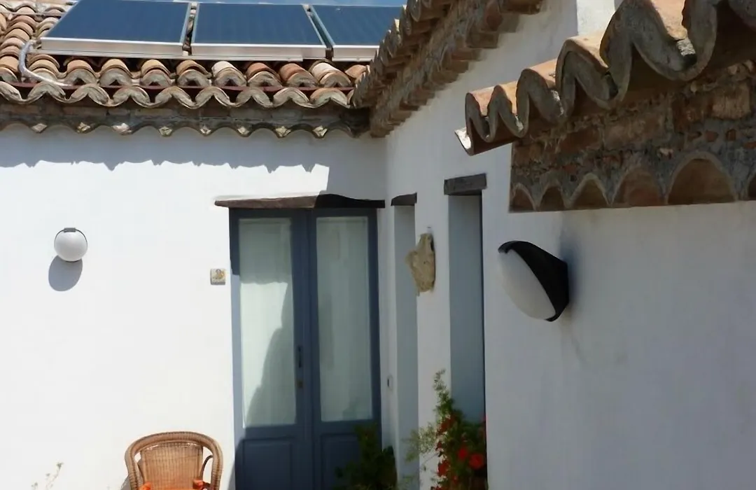 B&B Amphisya-1