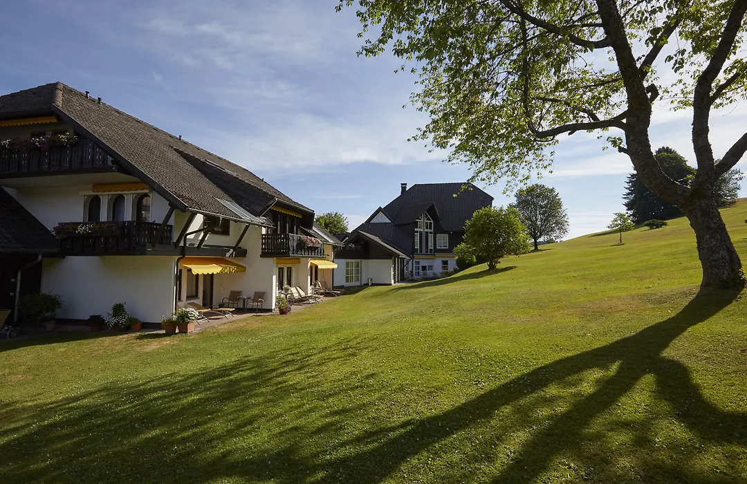 Hotel Zum Ochsen-1