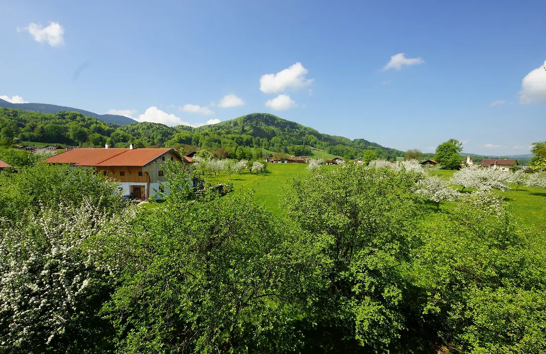 Gästehaus Funk-1