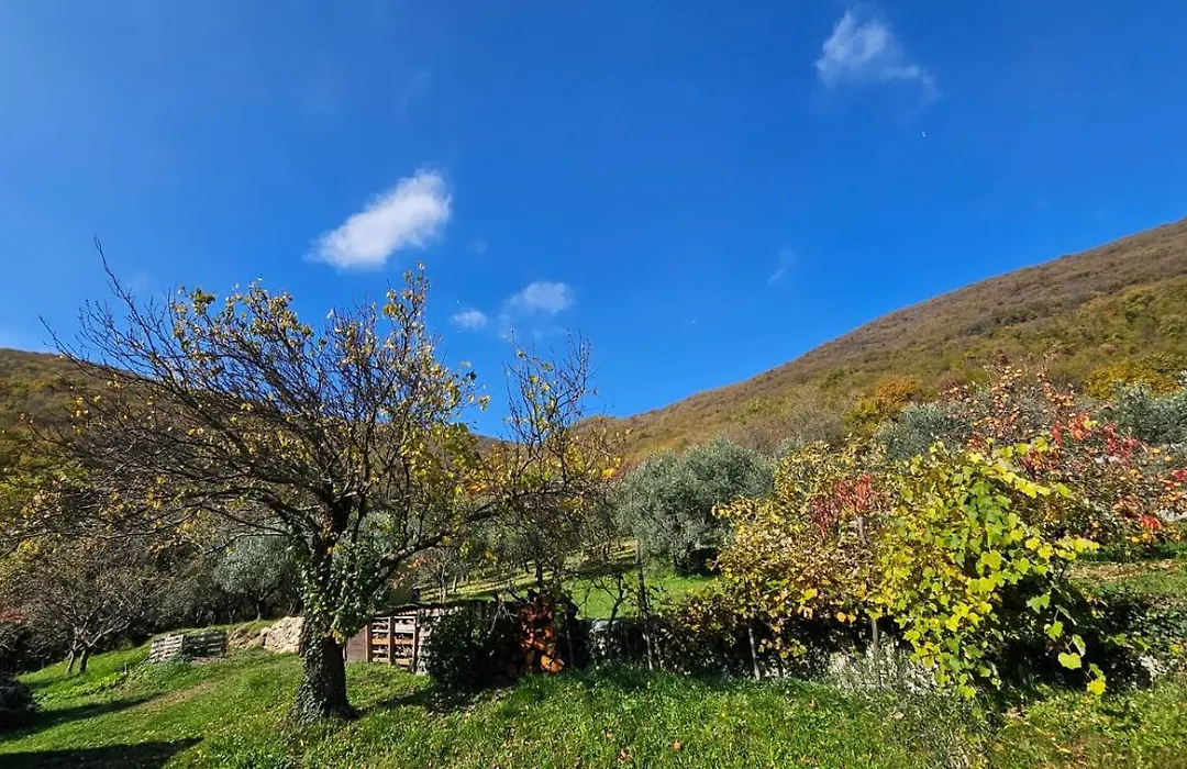 Poggio del Sole-1