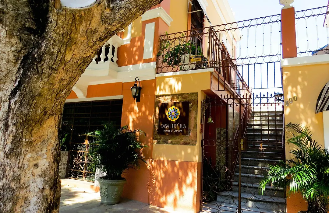 Casa Perpetua Hotel D Charm-1