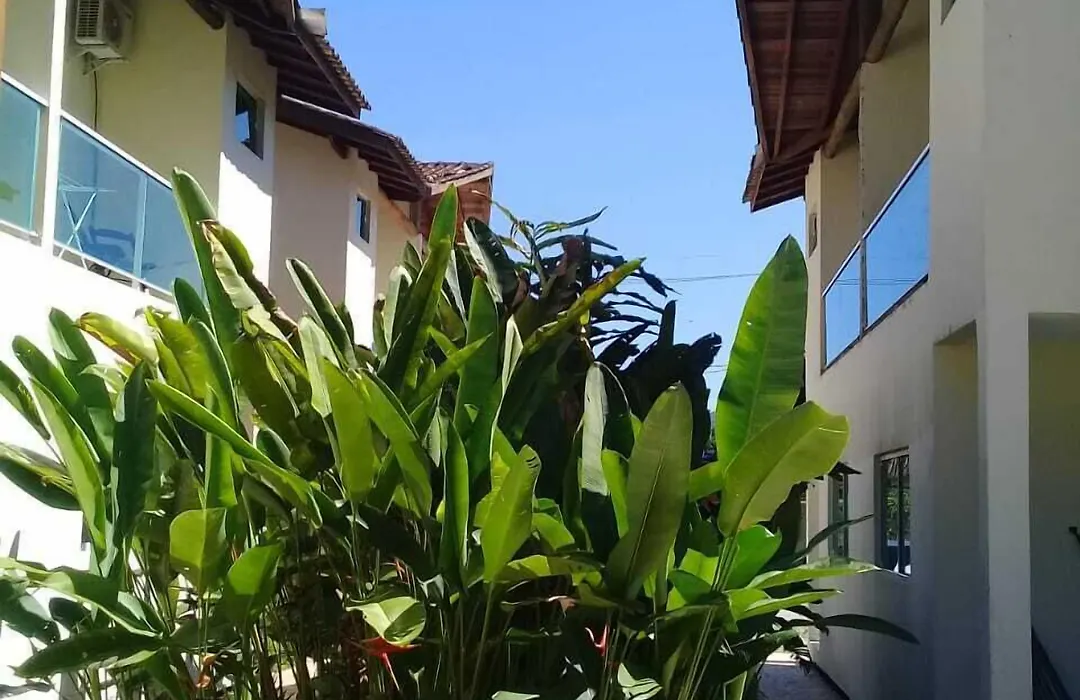 Mares de Camburizinho-1