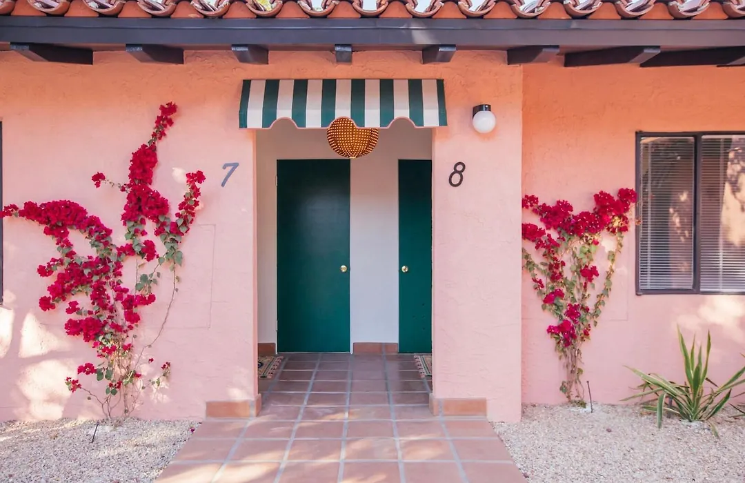 Les Cactus-1