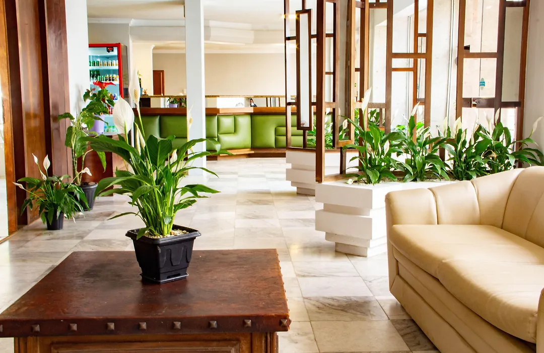 Hotel Domhof-1