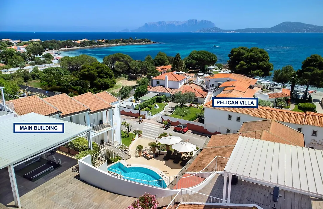 The Pelican Beach Resort & Spa - Adults Only-1