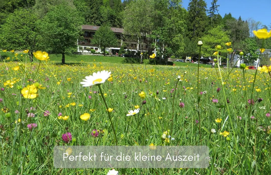 Hotel Ruchti - Zeit Fuer Mich-1