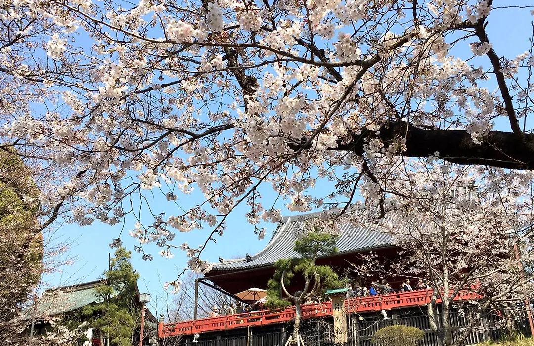 Hotel Mystays Ueno East-1