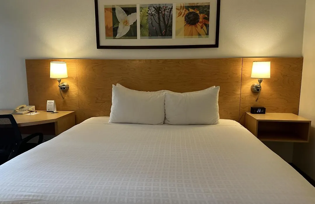 Hotel Nexus; BW Signature Collection-1