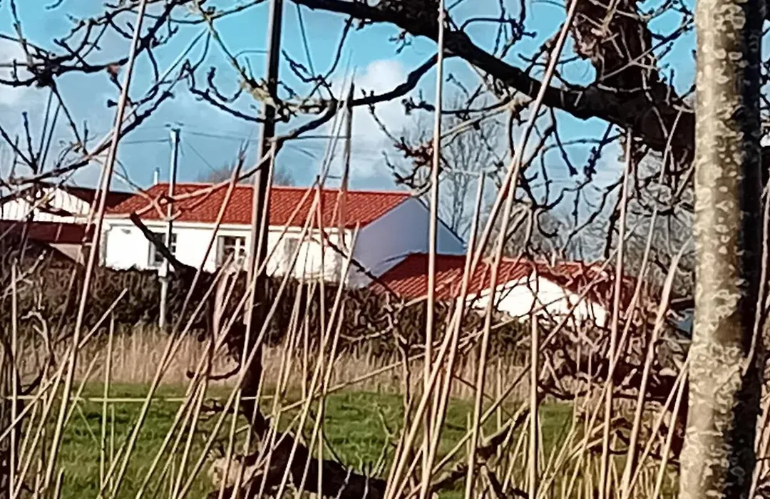 Auberge BonBeauJoli-1