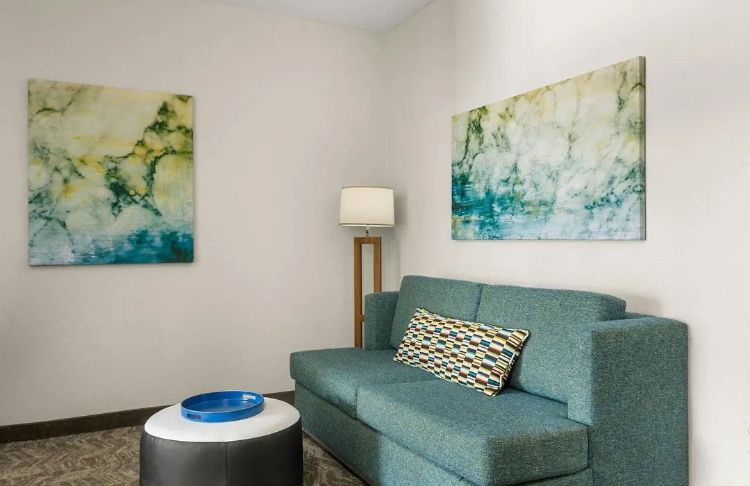 Springhill Suites By Marriott Morgantown-1