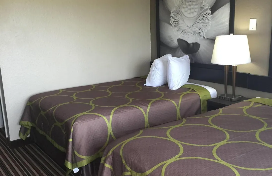 Super 8 By Wyndham Florence-1