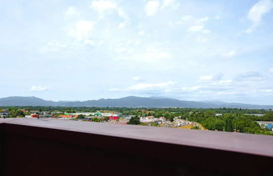 Holiday Inn Mulhouse By Ihg-1