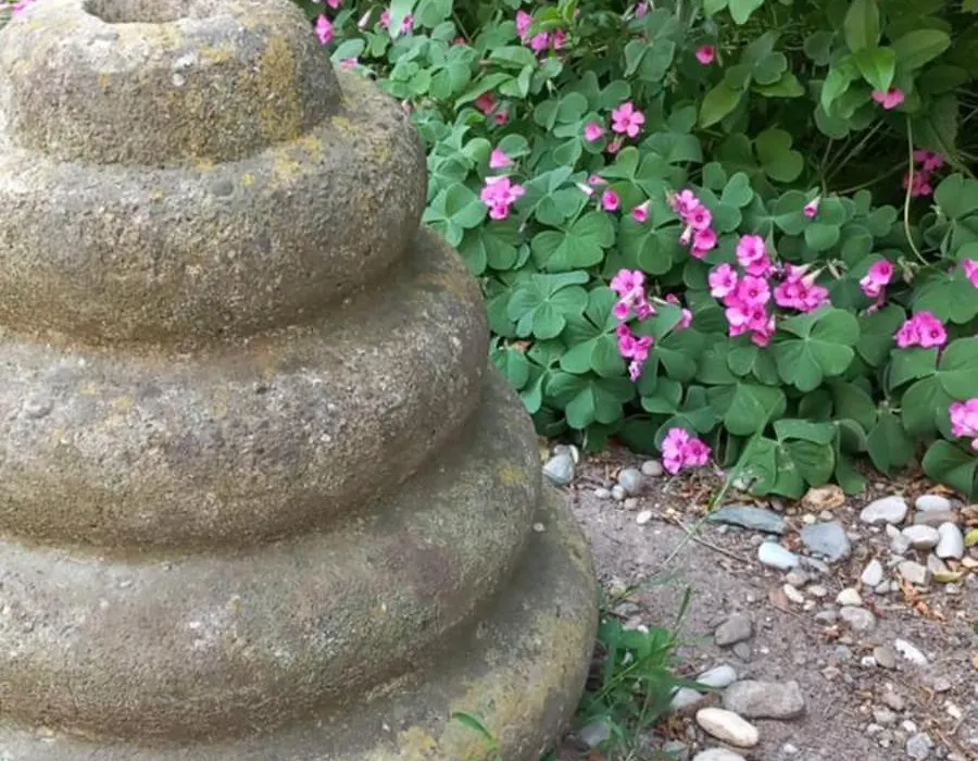 B&B delle Arti-1