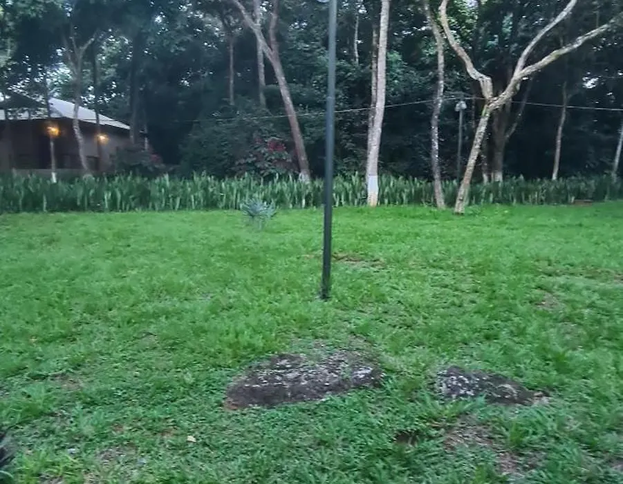 Bosque São Francisco-1
