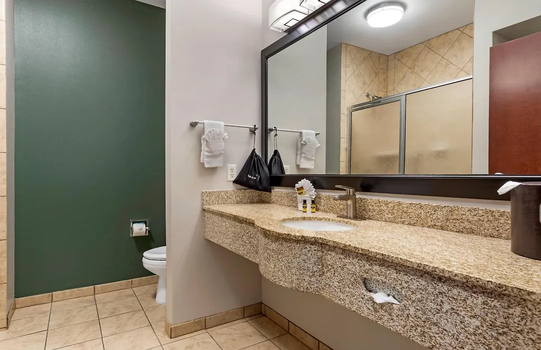 Best Western Plus Duncanville Dallas-1
