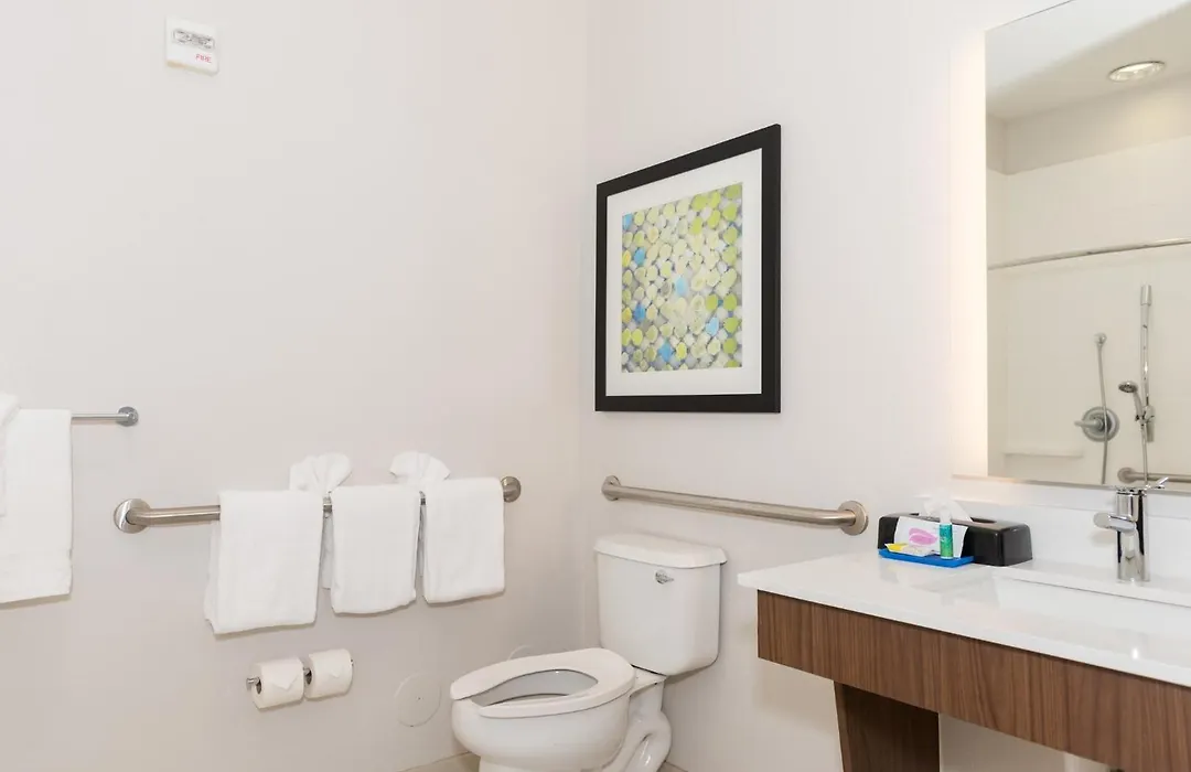 Holiday Inn Express Hotel&Suites Tampa-USF-Busch Gardens, an IHG Hotel-1