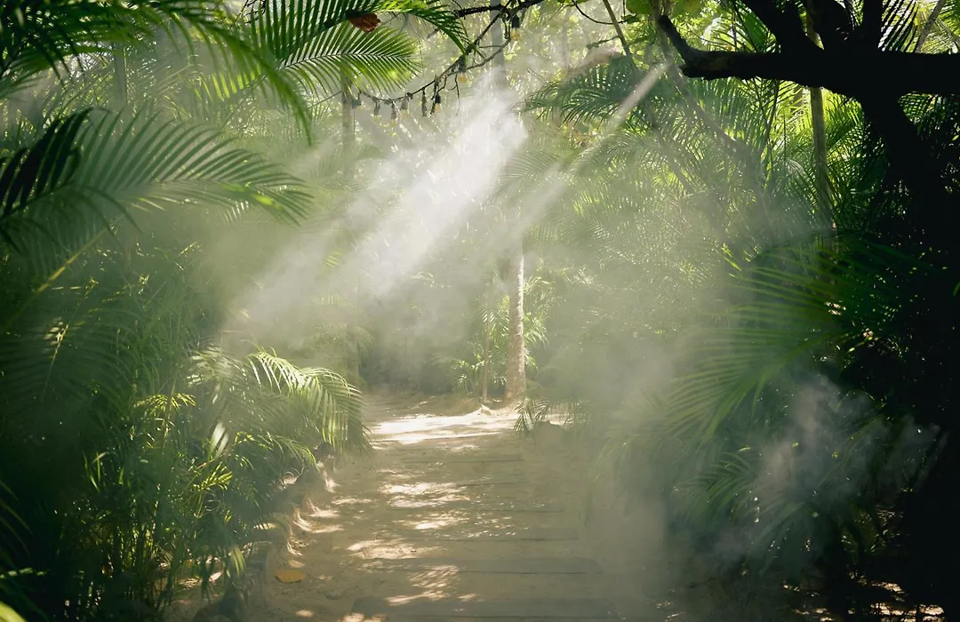 Nomade Temple Tulum-1