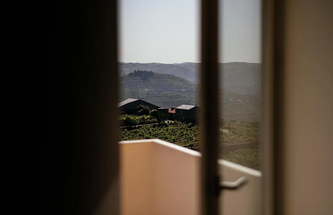 Casas Da Quinta De Santa Cruz - Douro Land-1