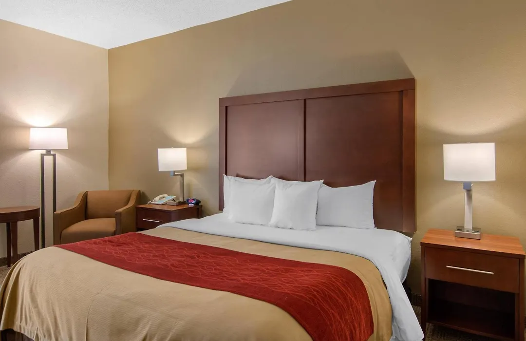 Comfort Inn Chester - Richmond South-1