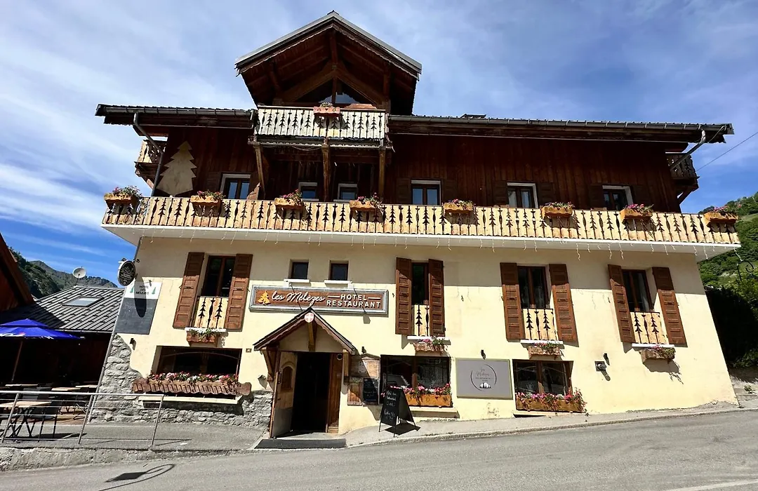 Hôtel-Chalet les Mélèzes-1
