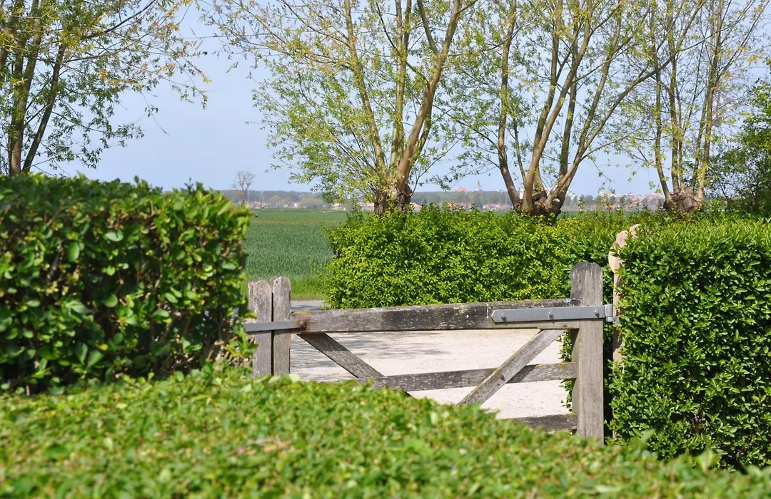 B&B Knotwilgenhoeve-1