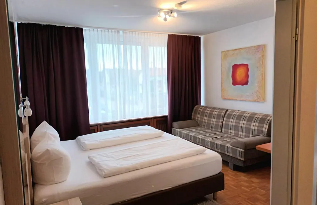 Hotel Zum Prinzen Sinsheim-1