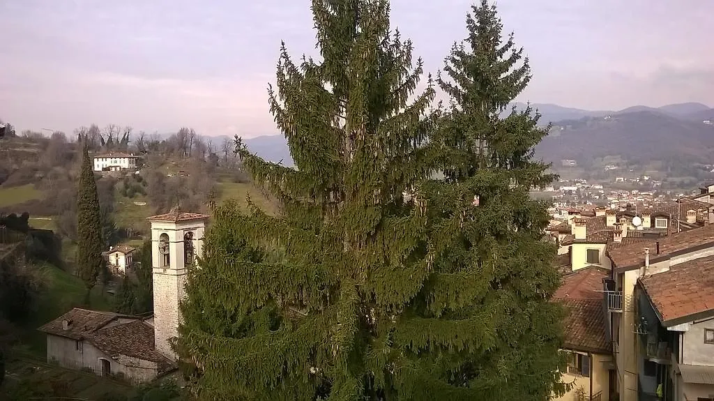 B&B Bergamo Alta-1