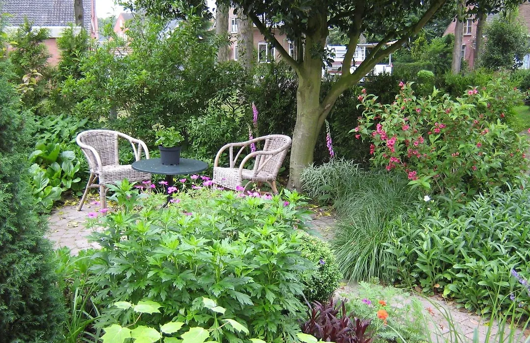 B&B De Esdoorn-1