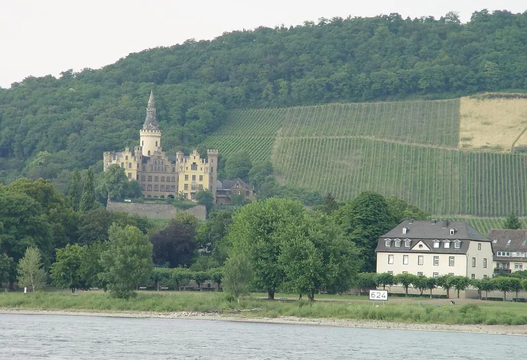 Hotel Vater Rhein-1