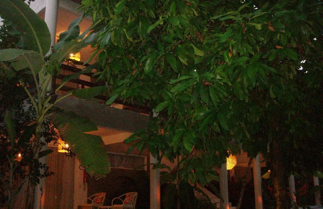 Pousada Vida Sol-1