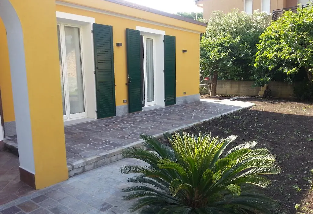 Andoramare B&B-1
