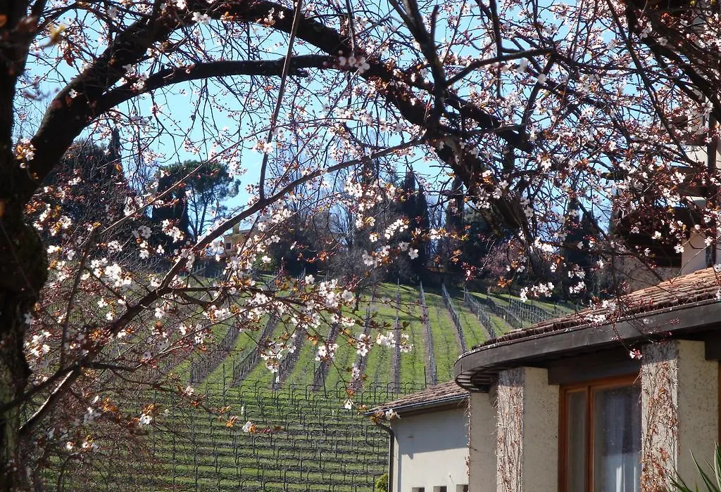 Sporting Hotel Ragno D'oro-1