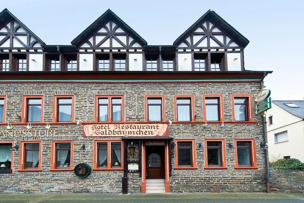 Ellenzer Goldbäumchen-1