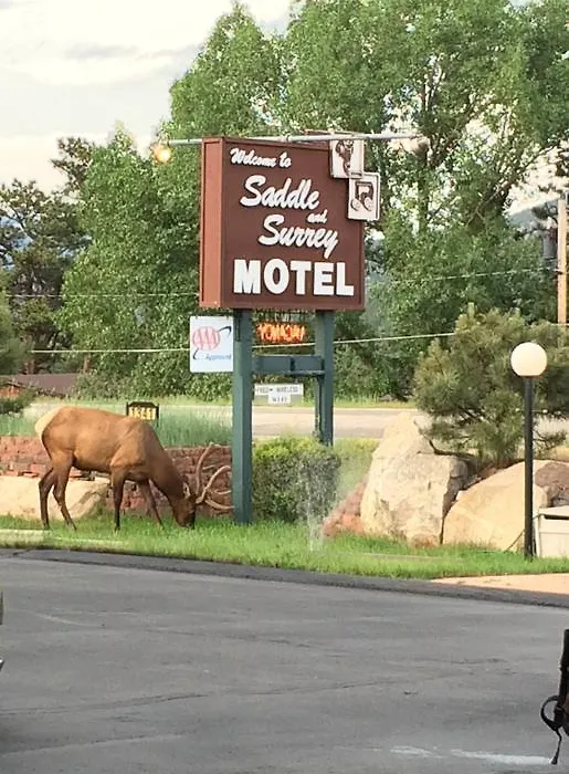 Saddle & Surrey Motel-1