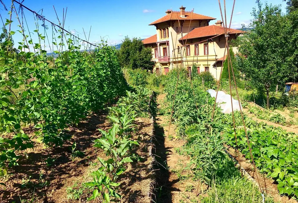 La Source Dorée-1