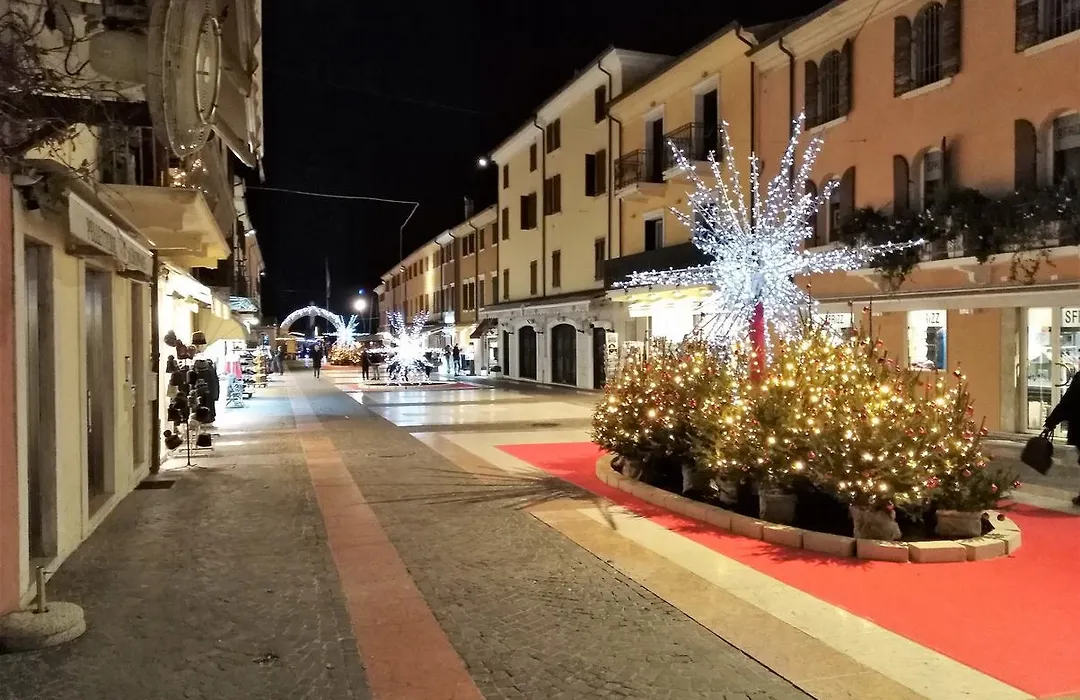 Hotel Orchidea-1
