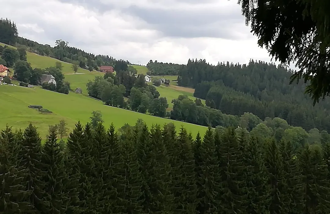 Pension Forsthaus Taele - Das Gaestehaus Vom Schwarzwaldgasthaus Salenhof-1