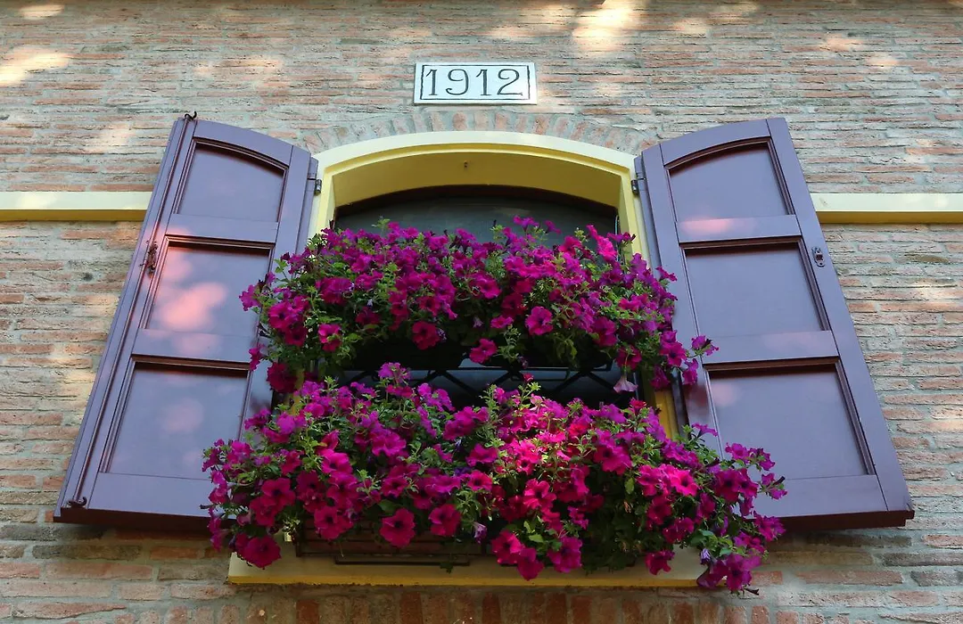 B&B Le Noci di Feo-1