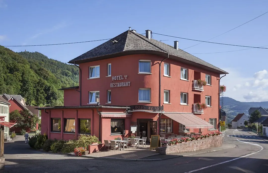 Logis Hostellerie Motel Au Bois Le Sire-1