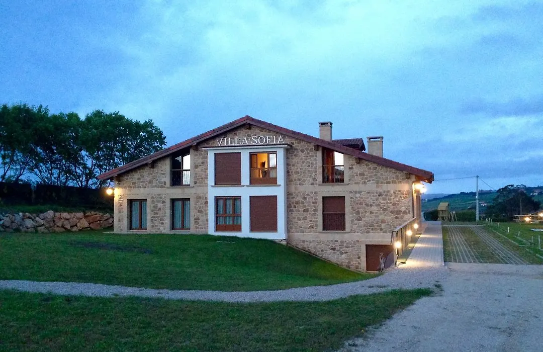 Apartamentos Villa Sofía-1