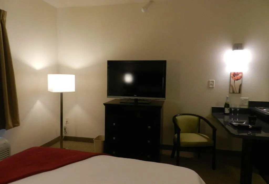Black Gold Suites-1