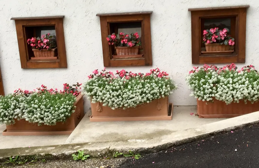 Albergo Meuble Tarandan-1