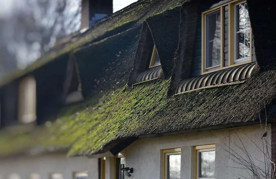 B&B-Hotel de Joremeinshoeve-1