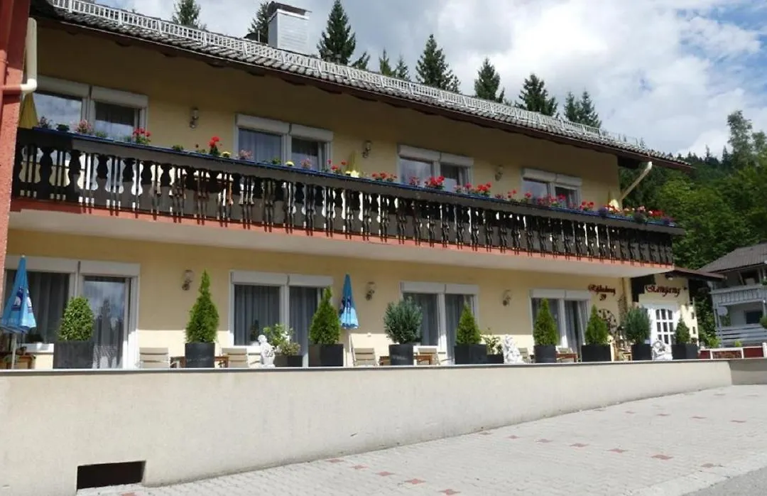 Hotel Sonnleitn-1