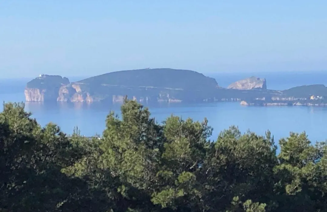 Lu Palau De Antoni-1