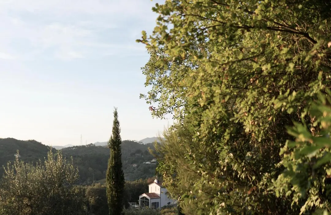 B&B La Fustaia-1